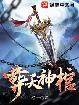 葬天神帝免费阅读
